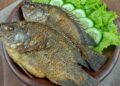 Diolah Pagi atau Sore 7 Manfaat Utama Konsumsi Harian Ikan Air Tawar