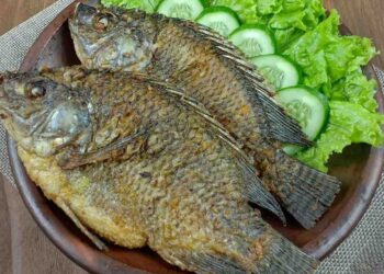 Diolah Pagi atau Sore 7 Manfaat Utama Konsumsi Harian Ikan Air Tawar