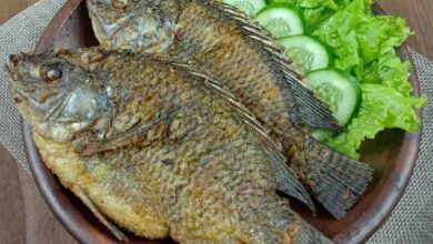 Diolah Pagi atau Sore 7 Manfaat Utama Konsumsi Harian Ikan Air Tawar