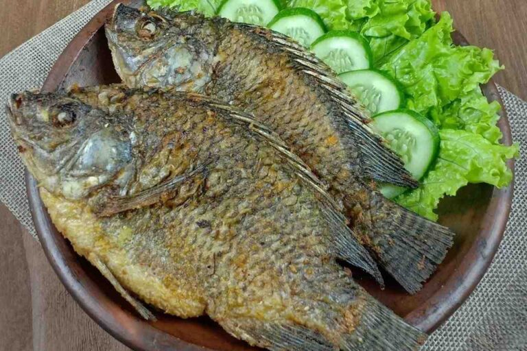 Diolah Pagi atau Sore 7 Manfaat Utama Konsumsi Harian Ikan Air Tawar