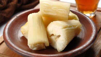 Direbus Dikukus atau Digoreng Mana Kandungan Gizi Singkong yang Paling Baik