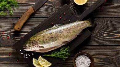 Emak-Emak Perlu Tahu Ini Jenis-Jenis Ikan Air Tawar yang Sangat Tidak Aman untuk Dikonsumsi