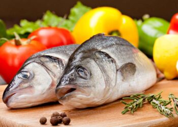 Ikan Laut dan Ikan Air Tawar Mana yang Lebih Sehat Bergizi?