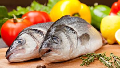 Ikan Laut dan Ikan Air Tawar Mana yang Lebih Sehat Bergizi?