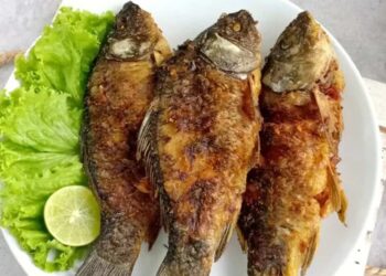 Jenis-Jenis Ikan Air Tawar Paling Populer dan Paling Banyak Dikonsumsi