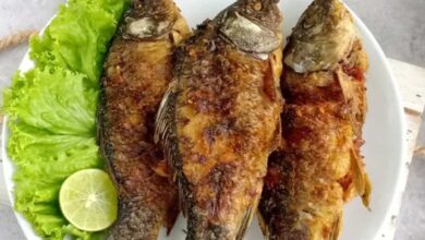 Jenis-Jenis Ikan Air Tawar Paling Populer dan Paling Banyak Dikonsumsi