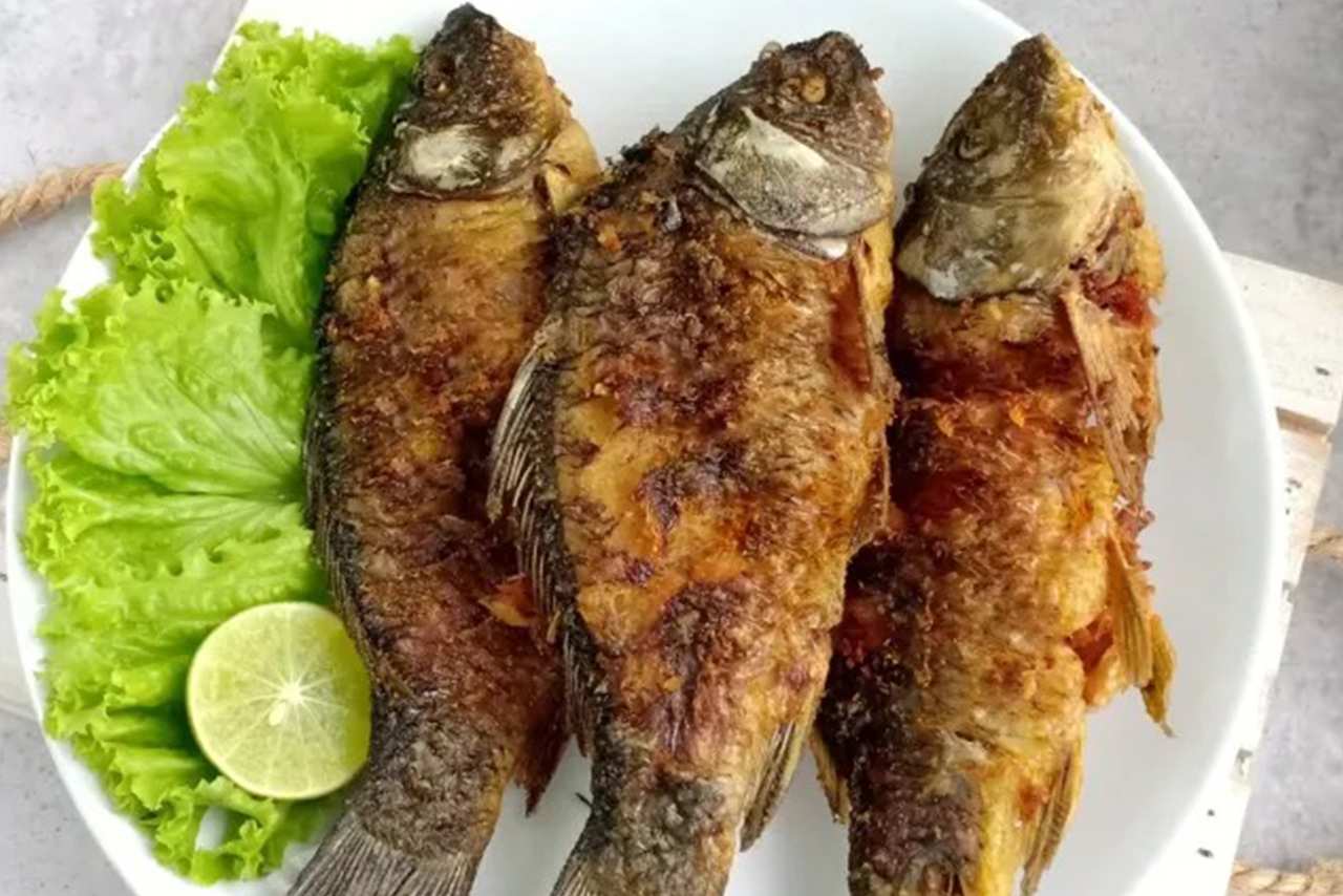 Jenis-Jenis Ikan Air Tawar Paling Populer dan Paling Banyak Dikonsumsi