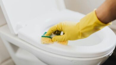 Kerak Membandel Lenyap 2 Bahan Ampuh Menghilangkan Kerak WC