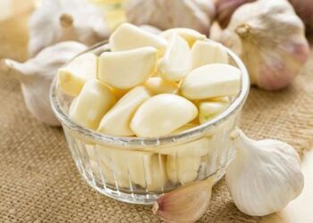 Khasiat Bawang Putih untuk Wanita Manfaat Kesehatan dan Cara Aman Mengonsumsinya