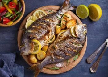 Pecinta Boga Bahari Perlu Tahu Ini 8 Manfaat Konsumsi Ikan Laut Secara Teratur