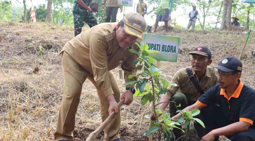 Sulap Hutan Jadi Kebun Buah Ratusan Alpukat dan Mangga Hijaukan Goa Terawang Blora