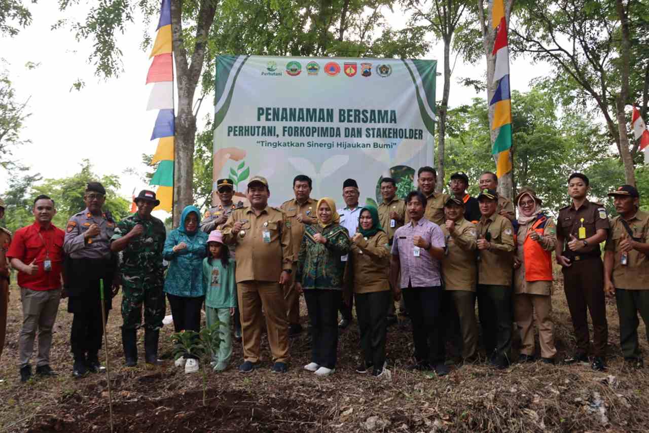 Sulap Hutan Jadi Kebun Buah Ratusan Alpukat dan Mangga Hijaukan Goa Terawang Blora 2