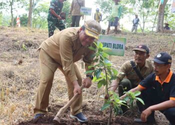 Sulap Hutan Jadi Kebun Buah, Ratusan Alpukat dan Mangga Hijaukan Goa Terawang Blora 5 Sulap Hutan Jadi Kebun Buah Ratusan Alpukat dan Mangga Hijaukan Goa Terawang Blora