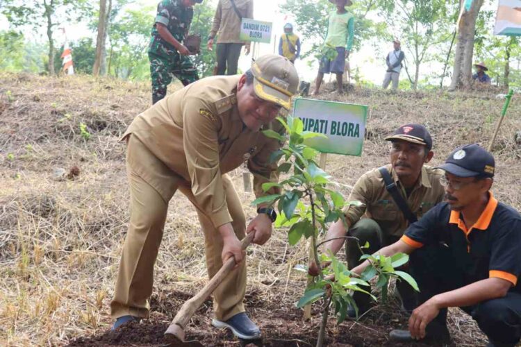 Sulap Hutan Jadi Kebun Buah Ratusan Alpukat dan Mangga Hijaukan Goa Terawang Blora