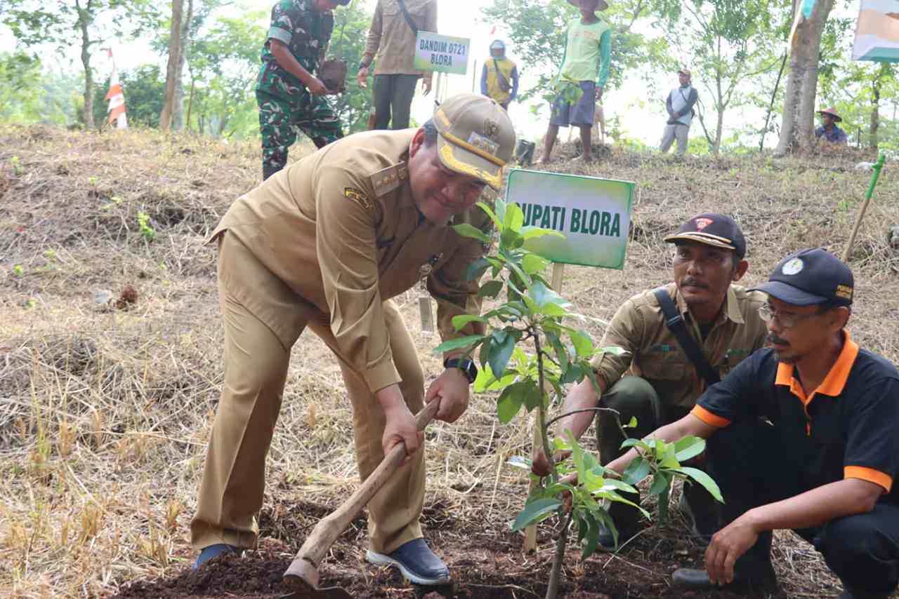Sulap Hutan Jadi Kebun Buah Ratusan Alpukat dan Mangga Hijaukan Goa Terawang Blora