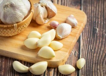 Suplemen Alami untuk Tubuh Tips Mengonsumsi Bawang Putih untuk Menjaga Kekebalan Tubuh di Musim Hujan