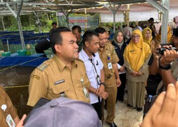 Mendapat Bantuan KKP RI Unit Usaha Lele Bioflok KKMP Kunden Blora Diresmikan