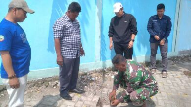 Tanam Tabebuya Karang Taruna Balun Didukung DPRD Blora