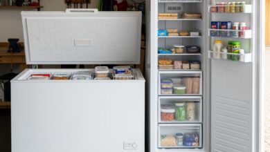 Kelebihan dan Kekurangan Chest Freezer Dibanding Kulkas yang Perlu Anda Ketahui