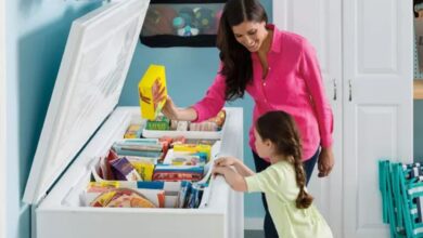 Lebaran OTW Siap Perbanyak Es Batu RSA CF-210 Freezer Box Paling Cocok untuk Usaha Kecil dan Rumah Tangga