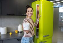 Perbedaan Freezer Box Lemari Pendingin dan Kulkas yang Perlu Anda Ketahui