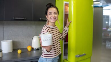 Perbedaan Freezer Box Lemari Pendingin dan Kulkas yang Perlu Anda Ketahui