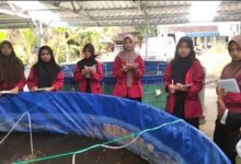 Santri Ponpes Al-Ittihad Cepu Belajar Budidaya Ikan Tematik