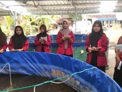 Santri Ponpes Al-Ittihad Cepu Belajar Budidaya Ikan Tematik