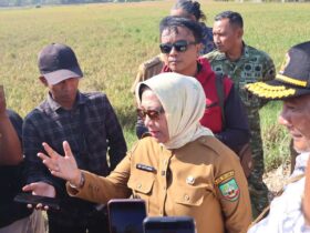 Perbaikan Jalan Randublatung Cepu Dimulai Akhir Juli 2026 Wabup Blora Alokasi Rp30 Miliar