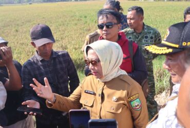 Perbaikan Jalan Randublatung Cepu Dimulai Akhir Juli 2026 Wabup Blora Alokasi Rp30 Miliar