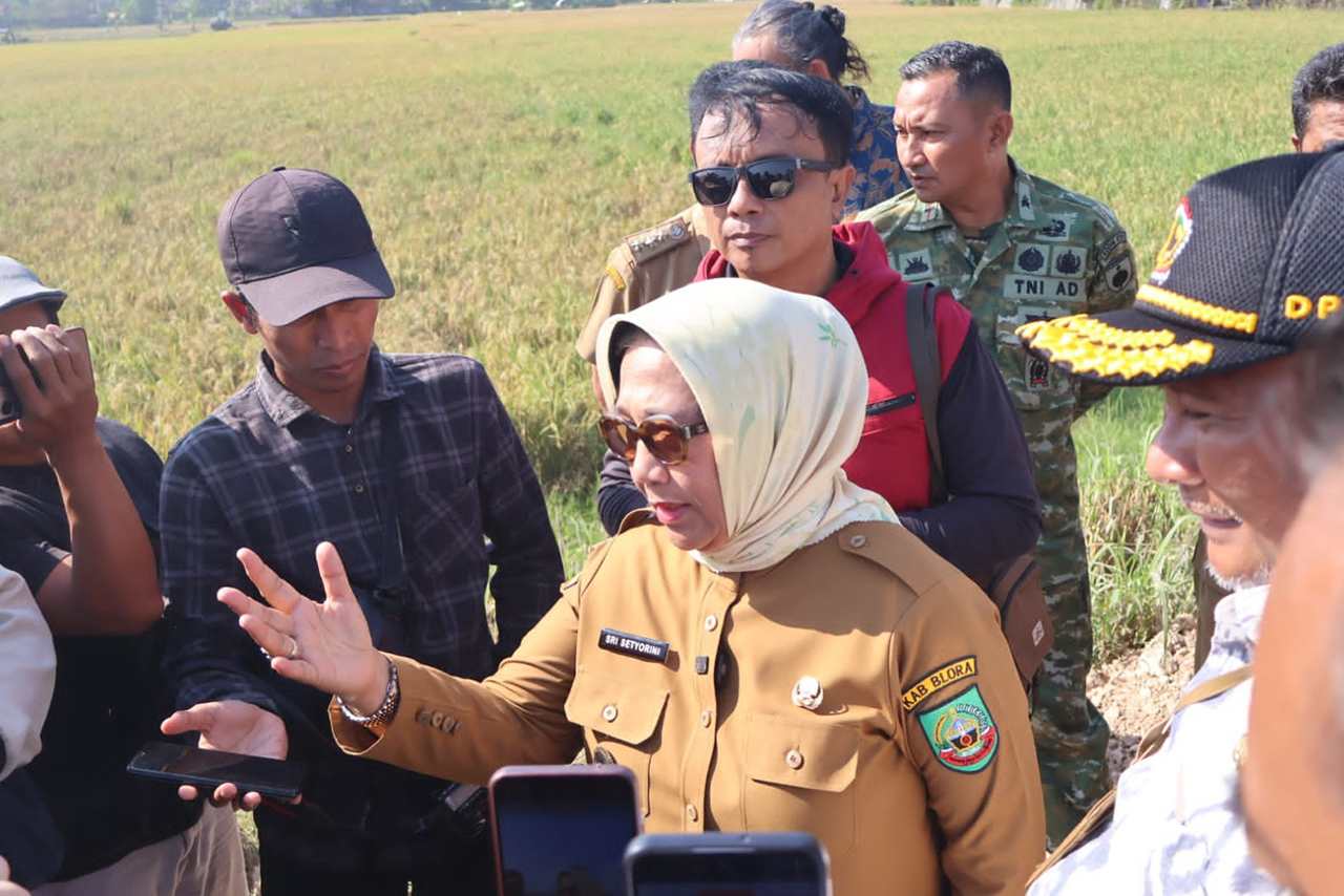 Perbaikan Jalan Randublatung Cepu Dimulai Akhir Juli 2026 Wabup Blora Alokasi Rp30 Miliar