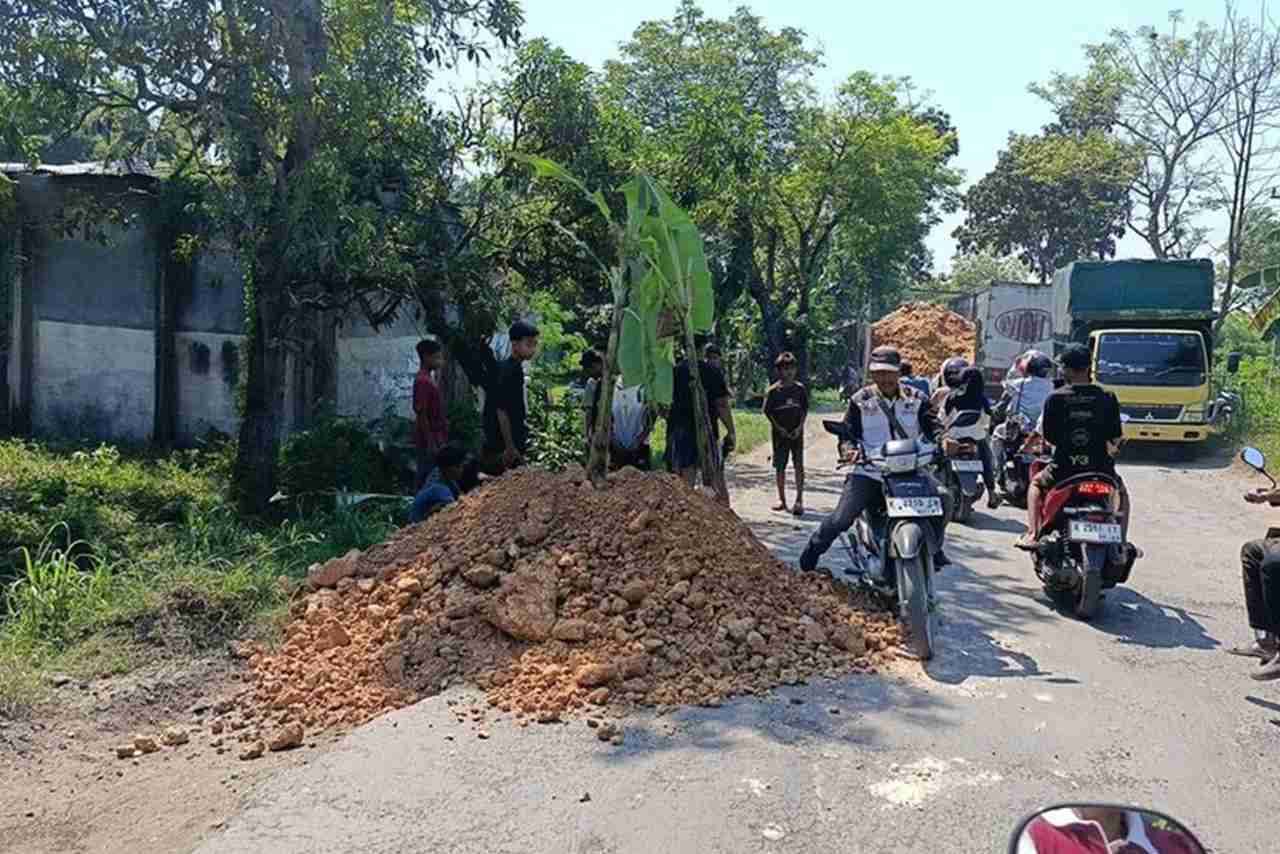 Viral Jalan Cepu Randublatung Rusak Parah Warga Beraksi Tanami Puluhan Pohon Pisang