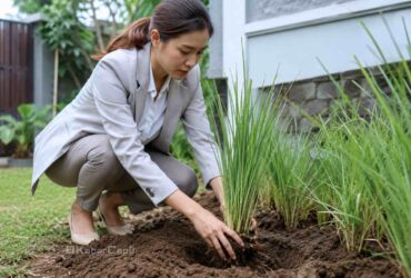 5 Tanaman Pengusir Rayap Alami yang Terbukti Ampuh dan Estetik untuk Rumah Anda